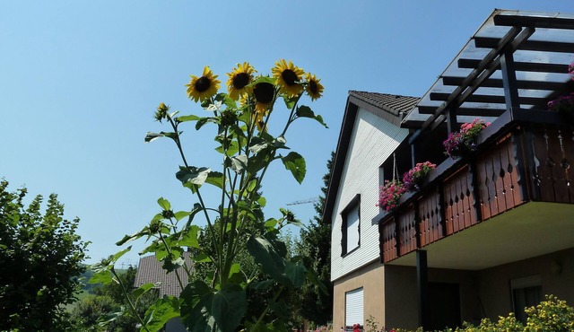 Vacation apartment/apartment for 2 guests with 35m² in Weilheim (116856)