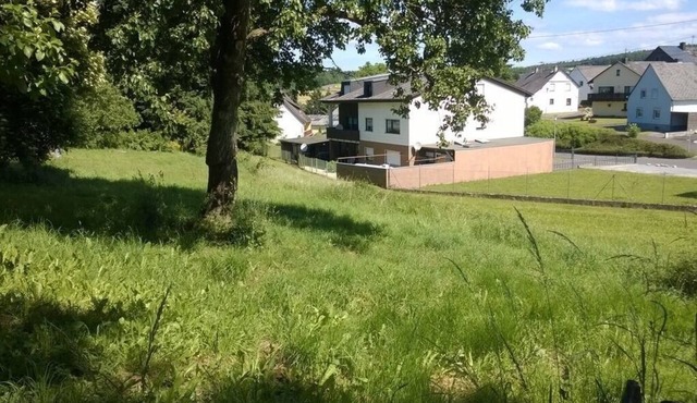 Vacation apartment/apartment for 5 guests with 130m² in Morbach (93242)