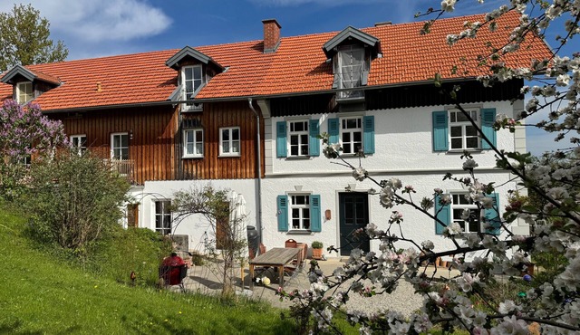 Vacation apartment/apartment for 4 guests with 78m² in Peiting (311707)