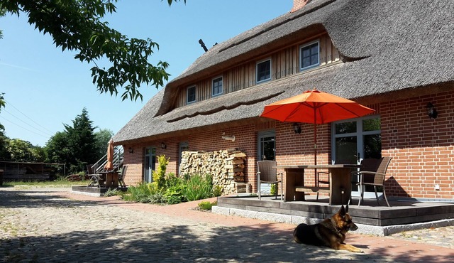 Vacation apartment/apartment for 6 guests with 150m² in Remplin (122552)