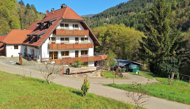 Vacation apartment/apartment for 4 guests with 70m² in Wembach (313740)
