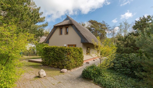 Vacation apartment/apartment for 4 guests with 59m² in Wustrow (118592)
