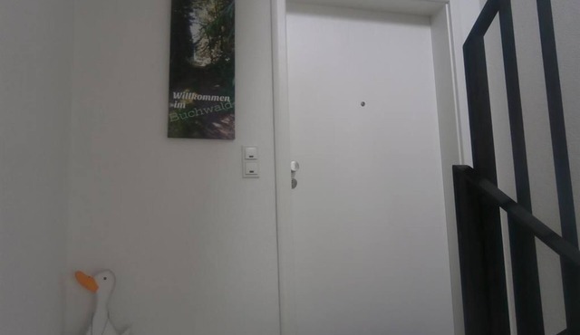 Vacation apartment Buchwald - Guesthouse Greimerather Forst