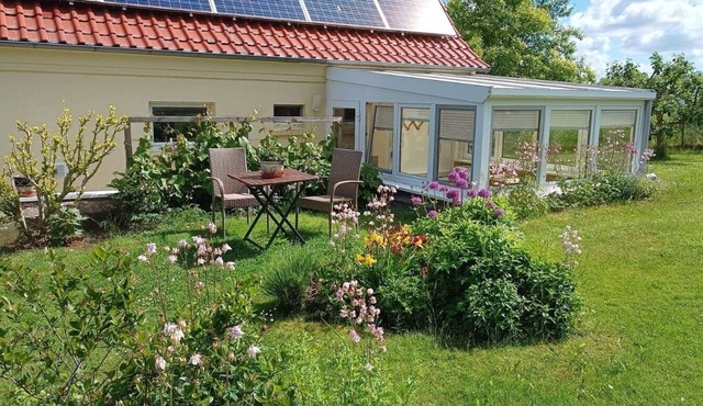 Vacation apartment/apartment for 2 guests with 31m² in Bad Doberan (295129)