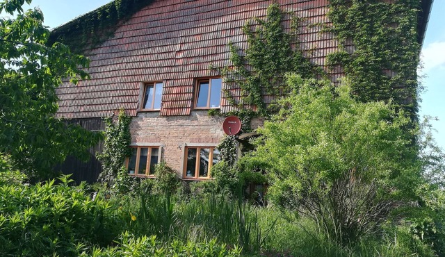 Vacation apartment/apartment for 4 guests with 40m² in Dammerstorf (120572)