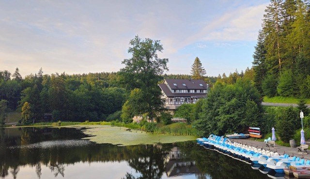Vacation apartment near the lake for 3 - dogs welcome