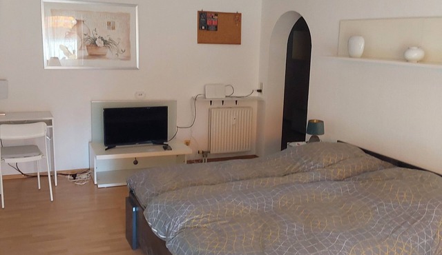 Vacation apartment on the outskirts and forest edge of Neckargemünd in a quiet MfH