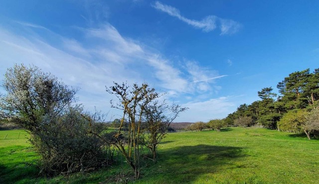 Vacation apartment "Ziegenvilla"! Vacation on a farm in the Eifel