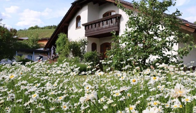 Vacation apartment Weinbergsliebe - Wonderful vacation apartment on the vineyard