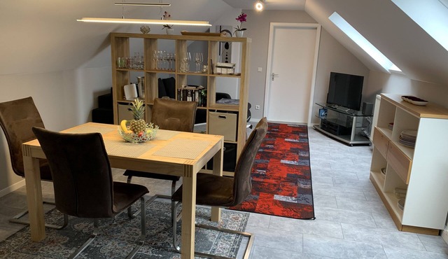 Vacation apartment Sunny - Modern vacation apartment in the countryside, quiet location near the city