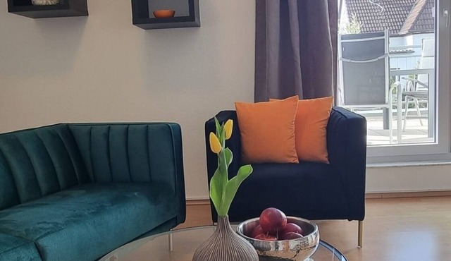 Vacation apartment/apartment for 3 guests with 75m² in Saarbrücken (312196)