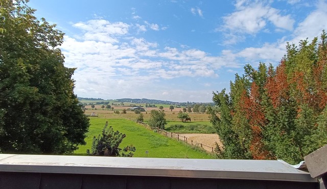 Vacation apartment for 6 (7) persons Eifel