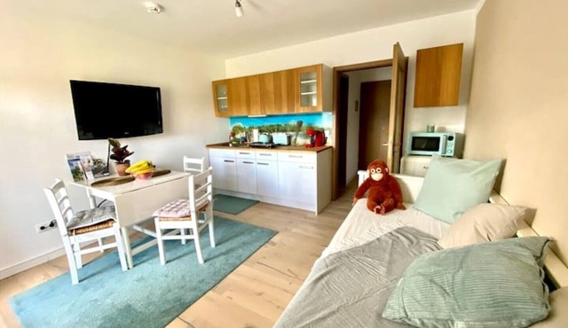 Vacation apartment in the Fichtelgebirge - near the ski slope with balcony & free parking