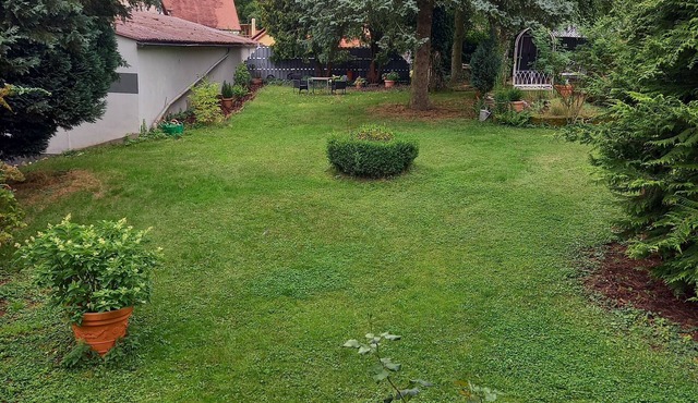Vacation apartment Johanna quiet and idyllic location pets on request