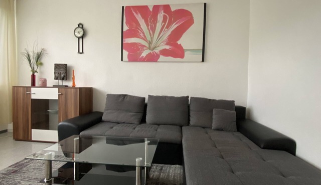 Vacation apartment Mainz City