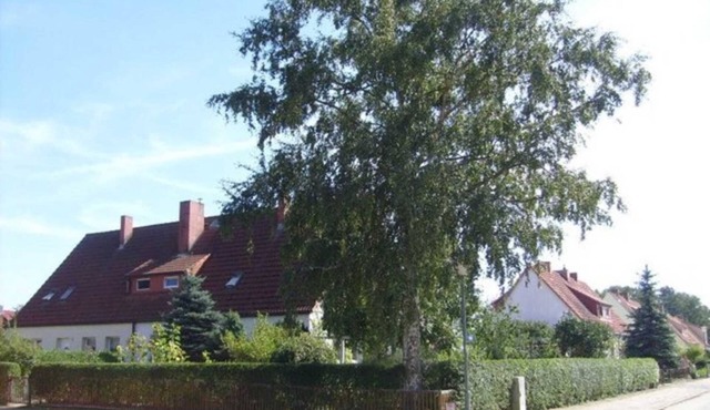 Vacation apartment Mirow (22205) - Holiday apartment