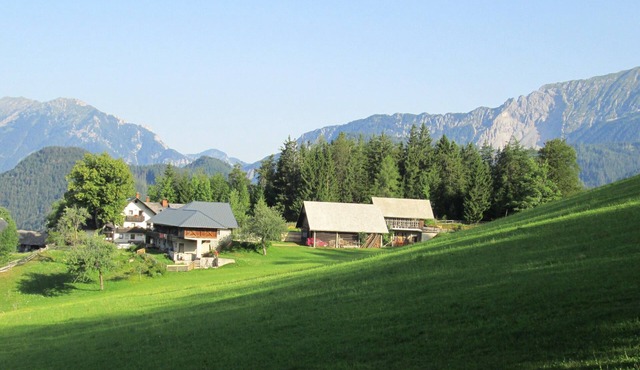 Vacation apartment - mountain farm "Pr Tic" 1050m. Nature, peace, air! 25 km from Bled