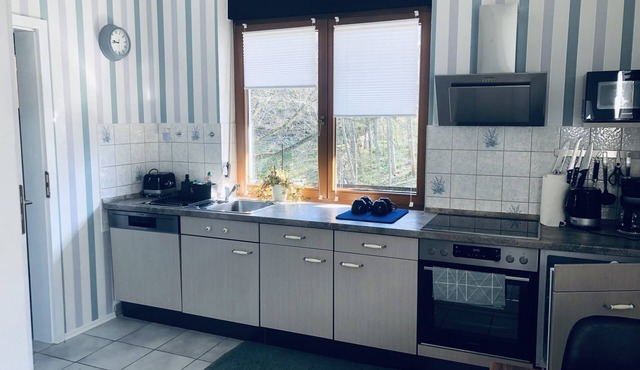 Vacation apartment (studio) 'Shakira' in the beautiful Mulde valley