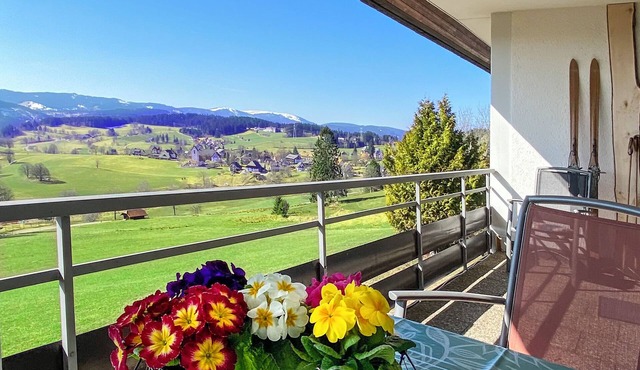 Vacation apartment Traumblick Saig in the Black Forest