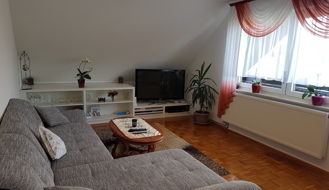Vacation apartment Vetter an der Loreley