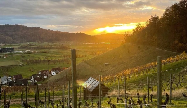 Vacation apartment Winzerstube