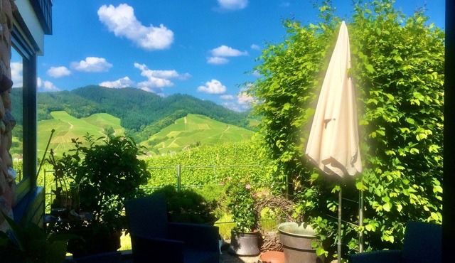 Vacation apartment with great views between the Black Forest and the Vosges Mountains
