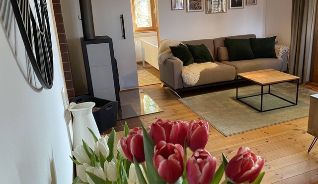 Vacation bungalow in Steinbach-Hallenberg