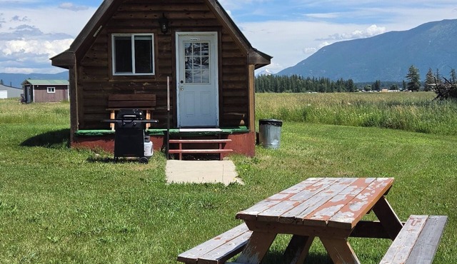 Vacation Cabin On 5 Acres With Pond . Sleeps 3