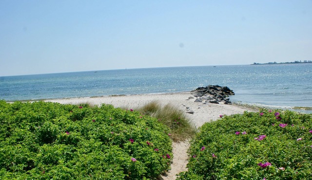 Vacation apartment/apartment for 7 guests with 100m² in Fehmarn OT Fehmarnsund (126504)