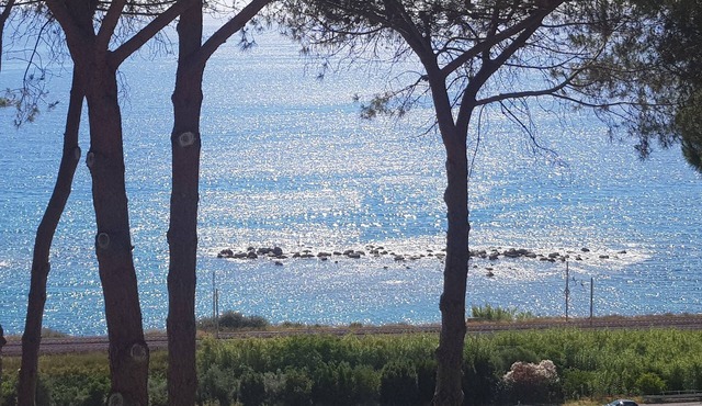 Vacation home a few meters from the sea full optional with pets allowed