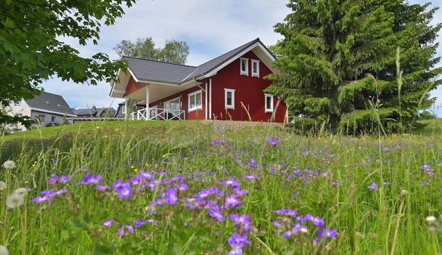 Vacation home Lina * The wooden house on the Rennsteig in the Thuringian Forest * Swedish house