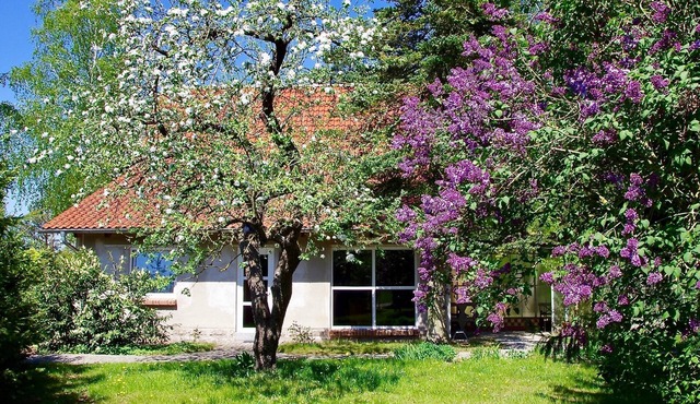 Vacation home Am Wald - Am Wald