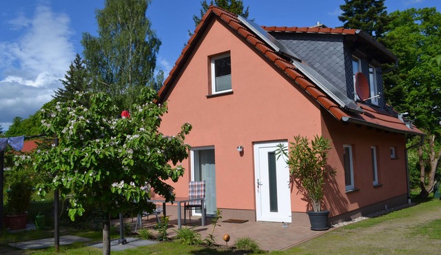 Vacation home Aniger - Holiday apartment and vacation home in Wustrow