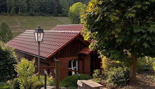 Vacation home, bathroom, WC - Holiday home Buren-Hof