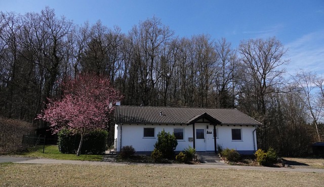 Vacation home Boszicht Fenced garden, dogs allowed (max. 2)