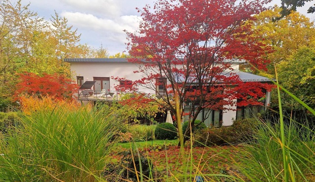 Vacation home for 10 guests with 300m² in Frankenberg (Eder) (271738)