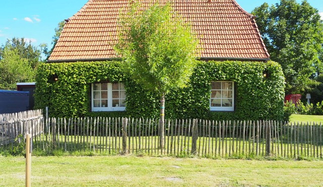 Vacation home directly on the dike with garden sauna and garden