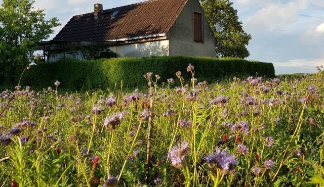 Vacation home for 2 guests with 45m² in Gransee (128356)