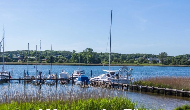 Vacation home for 3 guests with 54m² in Kappeln (146489)