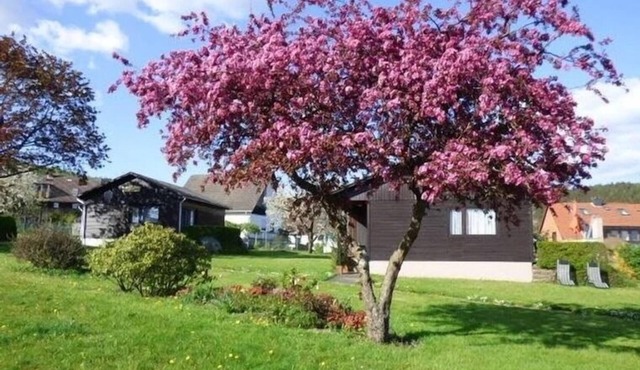 Vacation home for 4 guests with 60m² in Holenberg (272335)