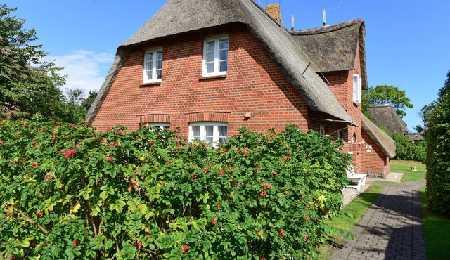 Vacation home for 6 guests with 82m² in Süderende (146213)