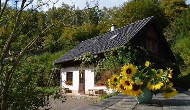 Vacation home for 7 guests with 75m² in Bad Honnef (313043)