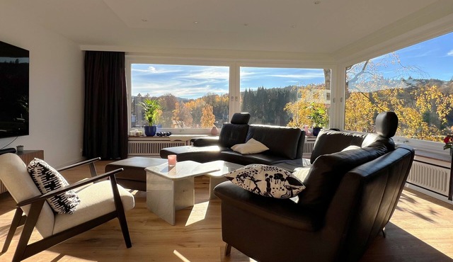 Vacation home in Hellenthal/Eifel - Panoramic view and Home Cinema