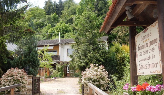 Vacation Home in Monzingen