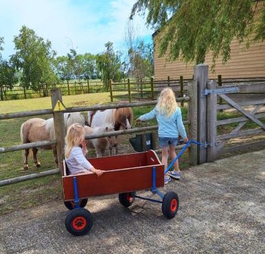 Vacation Home Mechelhof