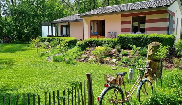 Vacation home Rehblick, directly in nature, with reading room and 2 terraces