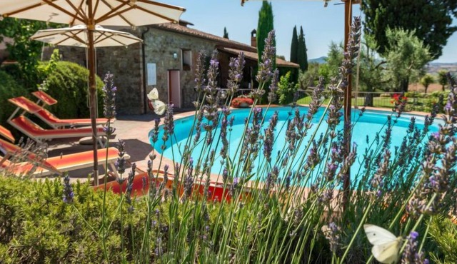 Vacation home Rosa in Campagnatico - 4 persons, 1 bedrooms