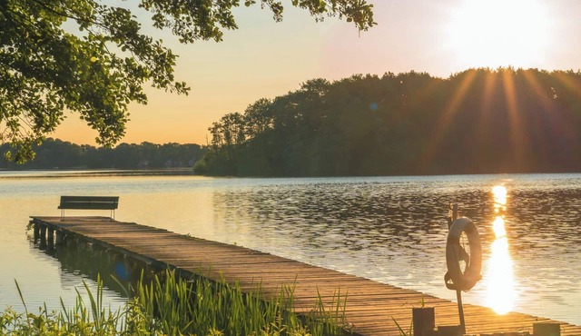 Vacation home Seebrise with sauna, fireplace & rowing boat and beach directly on the Dümmer See.