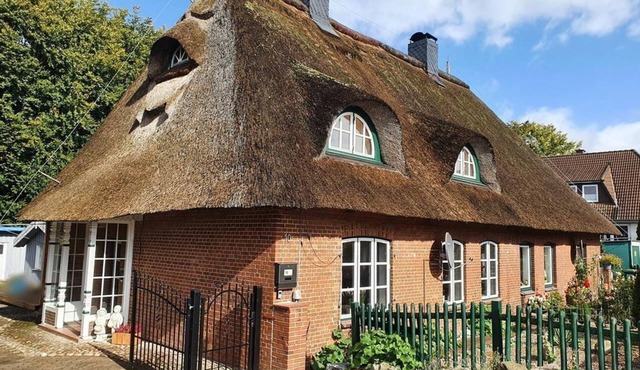Vacation home under thatch