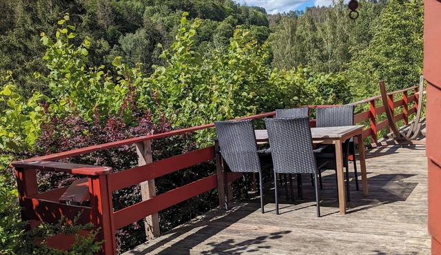 Vacation home with outdoor sauna in the Thuringian Forest